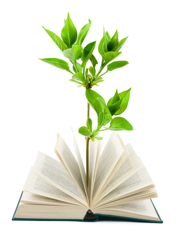 Plant emerging out of book